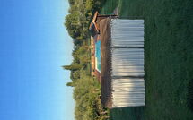 Fotos enviadas por los huéspedes de Campolacconi