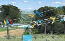 Fotos enviadas por los huéspedes de Poggio Falcone