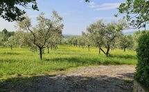 Fotos enviadas por los huéspedes de Il Fontanino