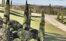 Fotos enviadas por los huéspedes de La Rimessa