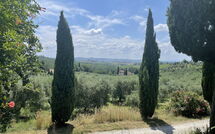 Fotos enviadas por los huéspedes de Il Leccio