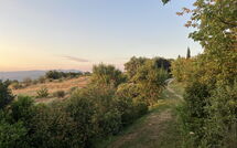 Fotos enviadas por los huéspedes de Casetta i Ciliegi