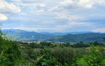 Fotos enviadas por los huéspedes de La Ripresa