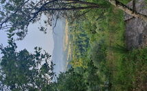 Fotos enviadas por los huéspedes de La Ripresa