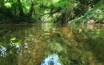 Fotos enviadas por los huéspedes de La Ripresa