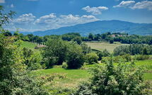 Fotos enviadas por los huéspedes de Villa la Collina