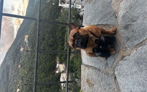 Fotos enviadas por los huéspedes de Belvedere, House with Private Pool and Garden, Rec