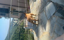 Fotos enviadas por los huéspedes de Belvedere, House with Private Pool and Garden, Rec