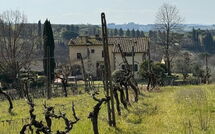 Fotos enviadas por los huéspedes de Dependance di Villa Magna