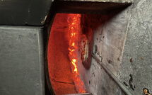 Fotos enviadas por los huéspedes de Giorgio Winery