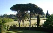 Fotos enviadas por los huéspedes de Villa Clara 20