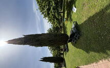 Fotos enviadas por los huéspedes de Il Casale