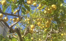 Fotos enviadas por los huéspedes de Vista Mare Noto