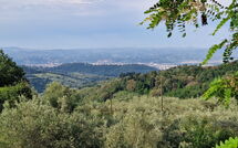 Fotos enviadas por los huéspedes de Florence 646