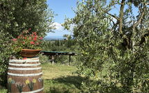 Fotos enviadas por los huéspedes de Il Campanile