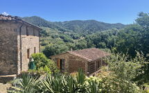 Fotos enviadas por los huéspedes de Bottino