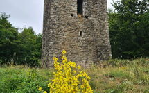 Fotos enviadas por los huéspedes de Villa Rosata