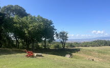 Fotos enviadas por los huéspedes de Villa Il Troscione