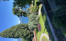 Fotos enviadas por los huéspedes de Gianni