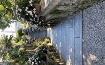 Fotos enviadas por los huéspedes de Gianni