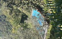 Fotos enviadas por los huéspedes de Il Castagneto