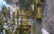 Fotos enviadas por los huéspedes de La Casina del Bosco