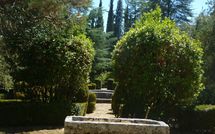 Fotos enviadas por los huéspedes de Palazzo Sarteano