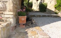 Fotos enviadas por los huéspedes de Borgo del Castagno