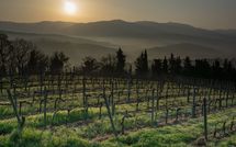 Fotos enviadas por los huéspedes de Tenuta