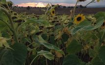 Fotos enviadas por los huéspedes de Rosa dei Venti