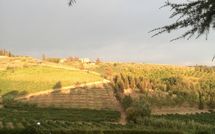 Fotos enviadas por los huéspedes de Casa Rossa