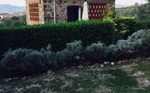 Fotos enviadas por los huéspedes de Isidoro