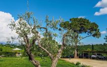 Fotos enviadas por los huéspedes de Podere Romina Exclusive