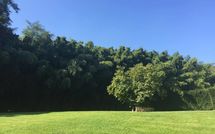 Fotos enviadas por los huéspedes de Alisso