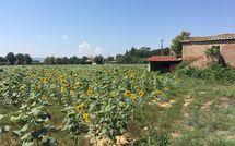 Fotos enviadas por los huéspedes de Villa la Fragola