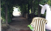 Fotos enviadas por los huéspedes de Montegufoni