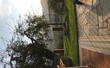 Fotos enviadas por los huéspedes de Casa Luciana - Diano Marina