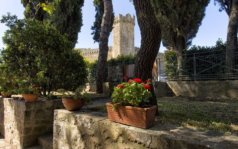 Villa Piazza Della Fortezza: Árbol, Pared, Plantas Leñosas, Arquitectura, Botánica, Planta, Hoja, El Maletero, Pared De Piedra, Paisaje