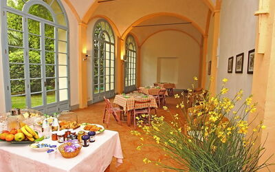 Alojamiento:&nbsp;Villa Dei Limoni