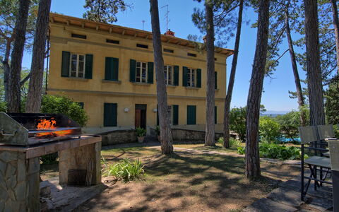 Il Poggio Di Patrignone: Propiedad, Casa, Edificio, Casa, Inmuebles, Bienes Raíces, Árbol, Arquitectura, Habitación, Cabaña