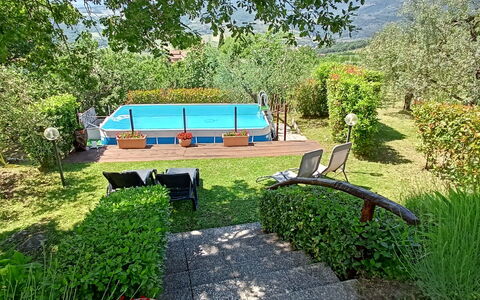Il Circolo: Piscina, Jardín, Ocio, Sombra, Patio Interior, Paisajismo, Eco Hotel, Césped, Yarda, Recurso