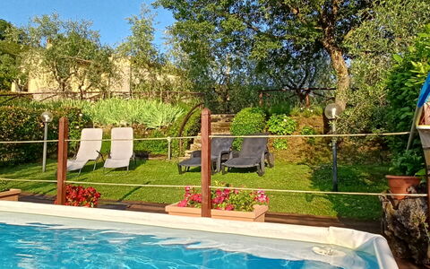 Il Circolo: Piscina, Recurso, Jardín, Maceta, Ocio, Patio Interior, Mueble Para Exteriores, Sombra, Eco Hotel