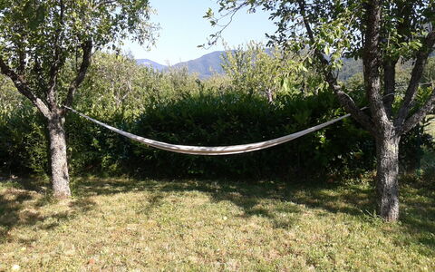 Appartamento Porretta Terme: Árbol, Vegetación, Paisaje Natural, Entorno Natural, Reserva Natural, Hierba, Hoja, Botánica, Bosque
