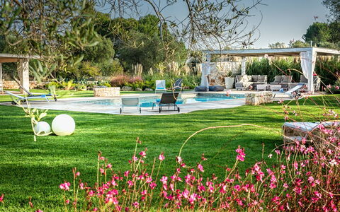 Trulli Itaka: Jardín, Césped, Hierba, Jardín Botánico, Árbol, Primavera, Botánica, Flor, Planta, Parque
