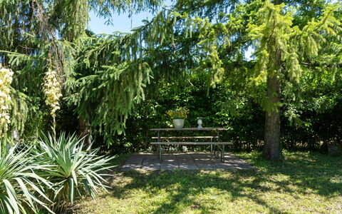 Villa Il Nido: Planta, Planta De La Comunidad, Banco Al Aire Libre, Paisaje Natural, Árbol, El Terreno Del Lote, Sombra, Planta Terrestre, Arecales, Arbusto