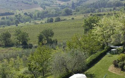 Agriturismo Paterno