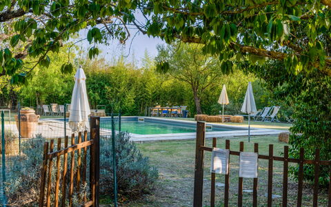 Agriturismo Il Molinello: Planta, Agua, Cerca, Árbol, Paisaje Natural, Sombra, Plantas Leñosas, Madera, Hierba, Inicio De Esgrima
