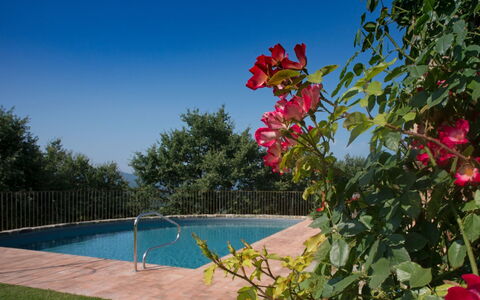 Villa Mandorlo: Agua, Cielo, Flor, Planta, Propiedad, Naturaleza, Piscina, Vegetación, Árbol, Pétalo