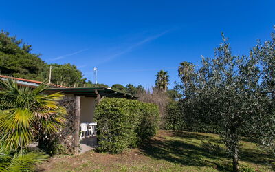 Alojamiento:&nbsp;Straccoligno 290.2