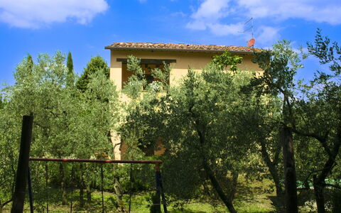 Collina dei Fiori: Árbol, Hoja, Vegetación, Arbusto, El Terreno Del Lote, Casa, Área Rural, Primavera, Cabaña, Jardín